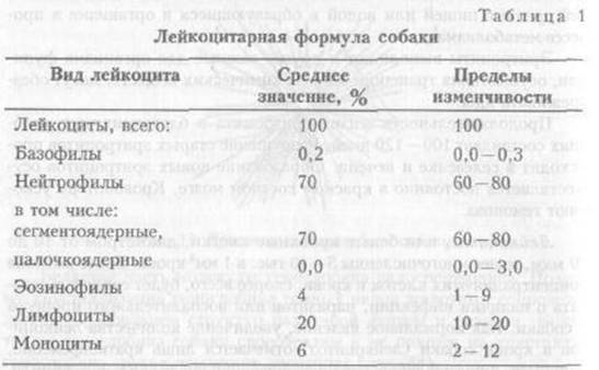 kinologija_vuz1-48.jpg