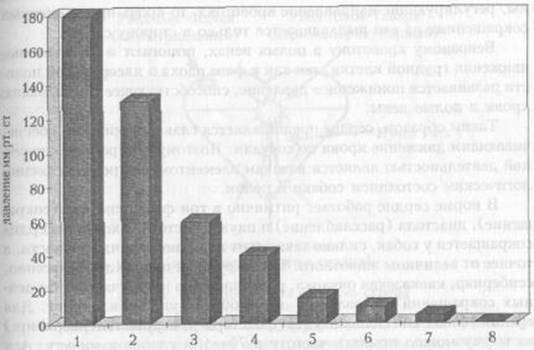 kinologija_vuz1-50.jpg